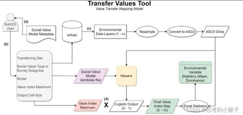 多技術(shù)融合與Solves模型 生態(tài)系統(tǒng)服務(wù)功能社會價值評估及計算機(jī)網(wǎng)絡(luò)系統(tǒng)工程服務(wù)的拓展應(yīng)用